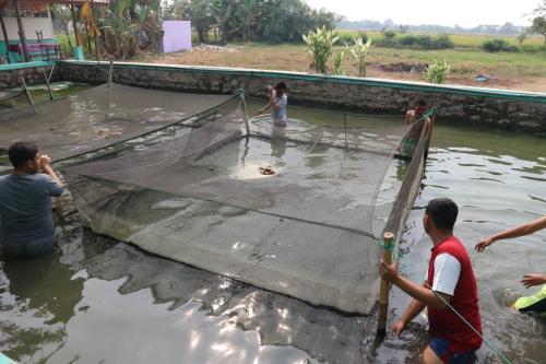 Kegiatan Santri